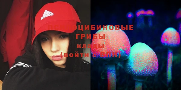 кристаллы Алзамай