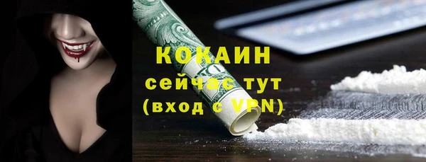 прущие грибы Сафоново