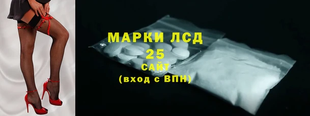 ПСИЛОЦИБИНОВЫЕ ГРИБЫ Алексеевка
