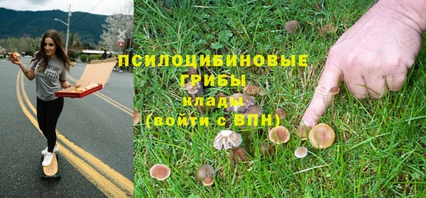 ПСИЛОЦИБИНОВЫЕ ГРИБЫ Алексеевка